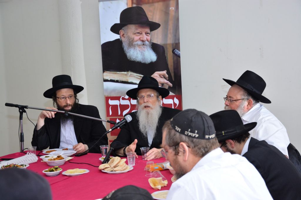 תמונה (303) (Large)